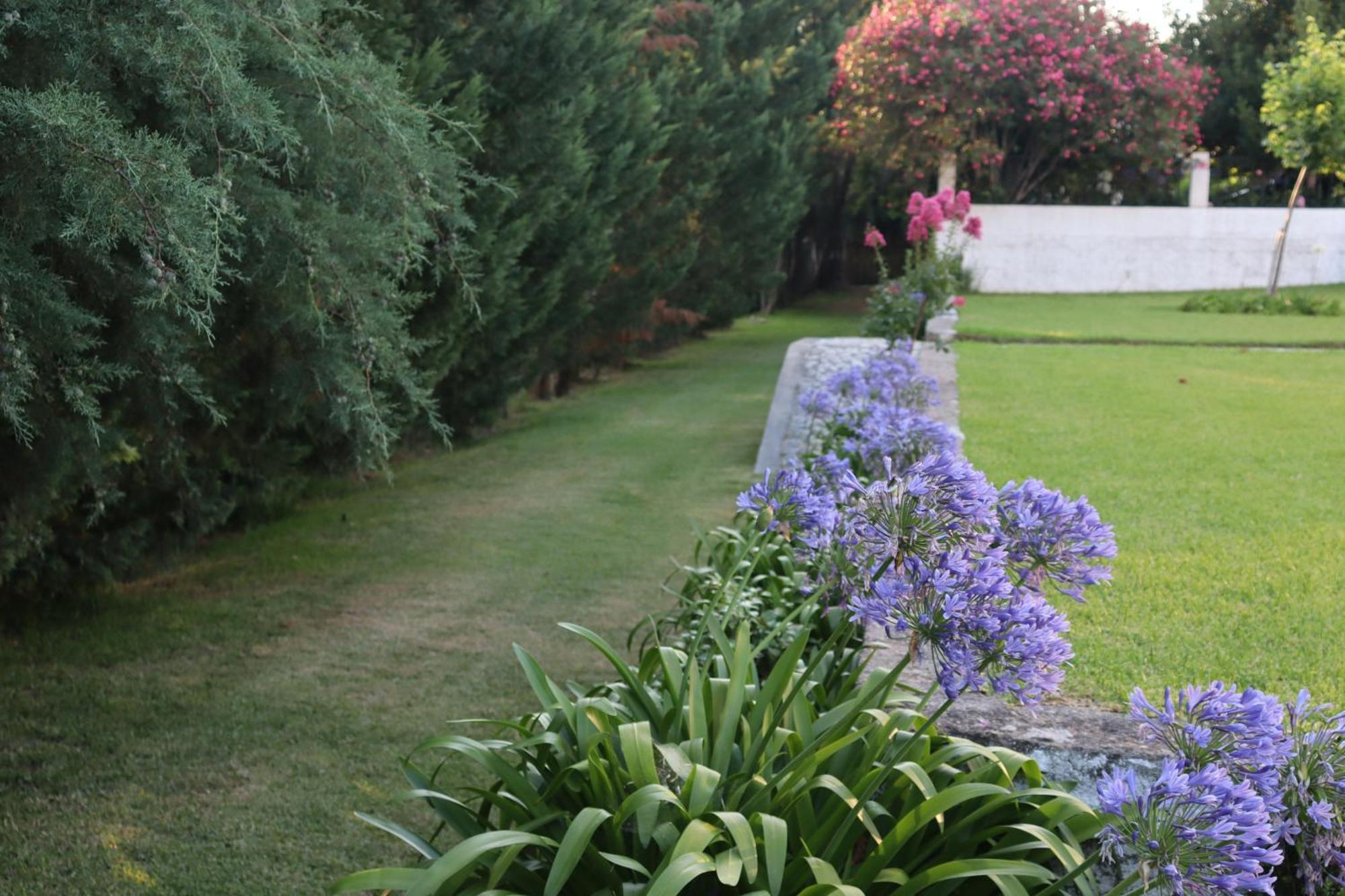 Villa Quinta Do Regalo Coímbra Exterior foto