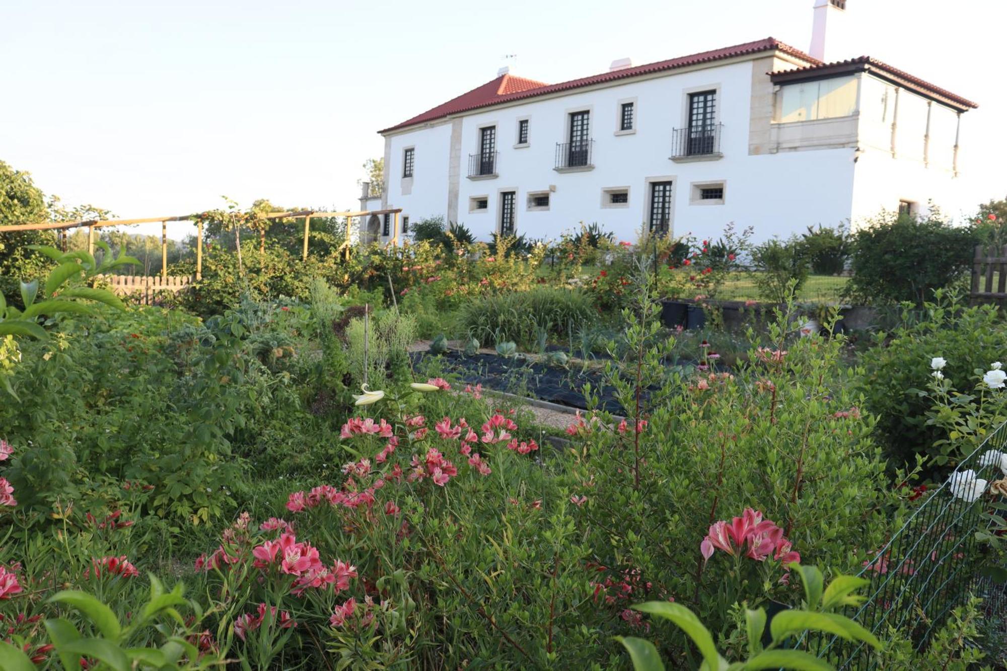 Villa Quinta Do Regalo Coímbra Exterior foto