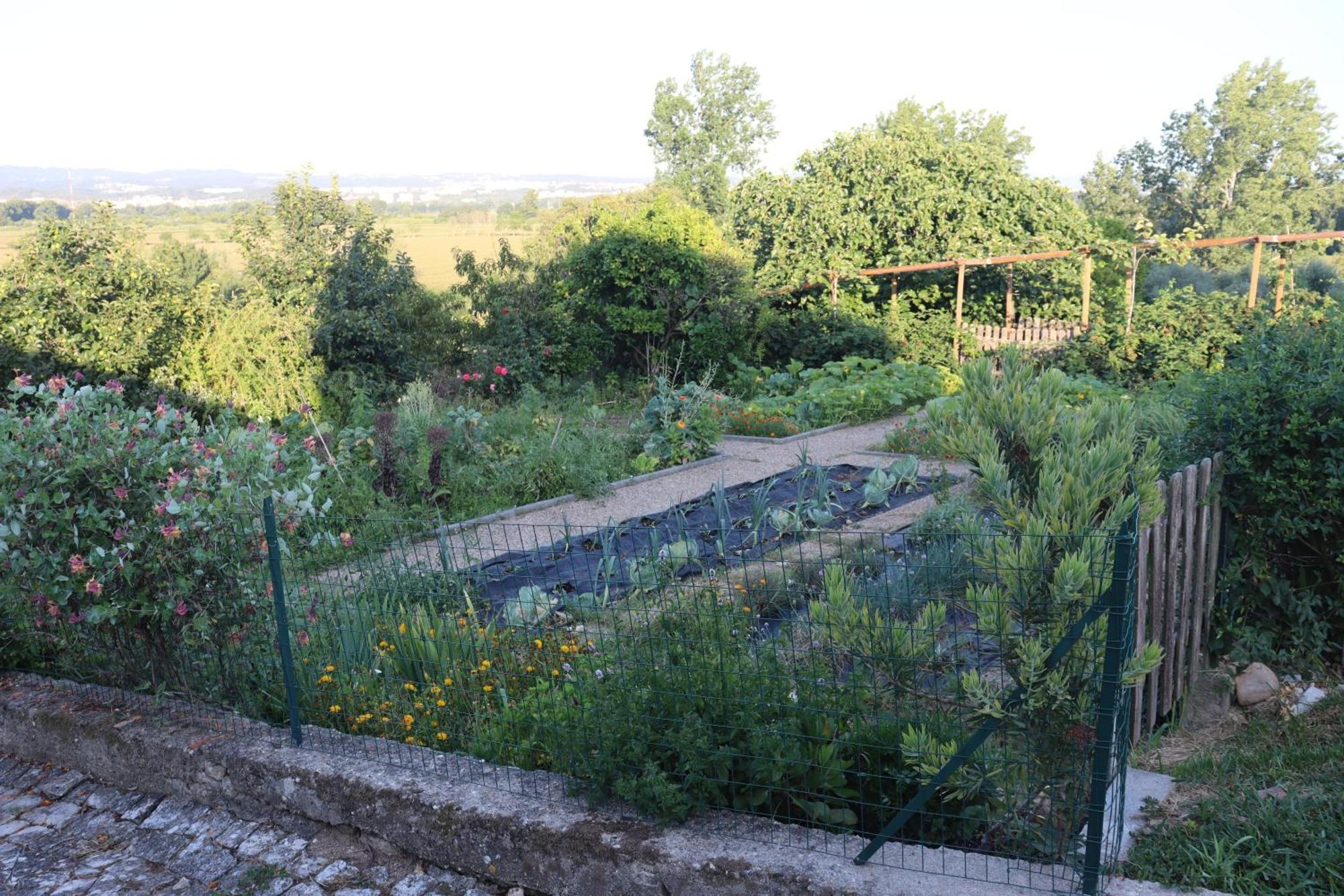 Villa Quinta Do Regalo Coímbra Exterior foto